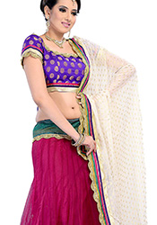 Magenta Net A Line Lehenga Choli