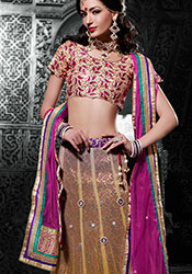Mustard Net A Line Lehenga Choli