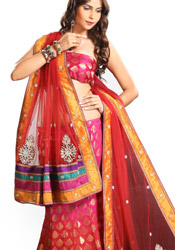 Shaded Pure Jamevar Lehenga Choli